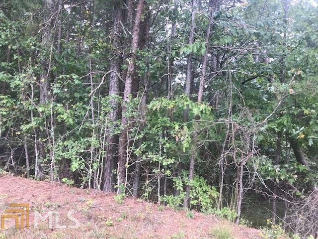 0 B Soque Ridge Circle, Unit LOT 1 Demorest, GA 30535 - Photo 1 of 1
