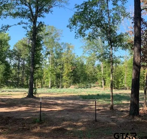 $27,500 | Lot 3 Waldron Ferry, Hallsville, TX 75650