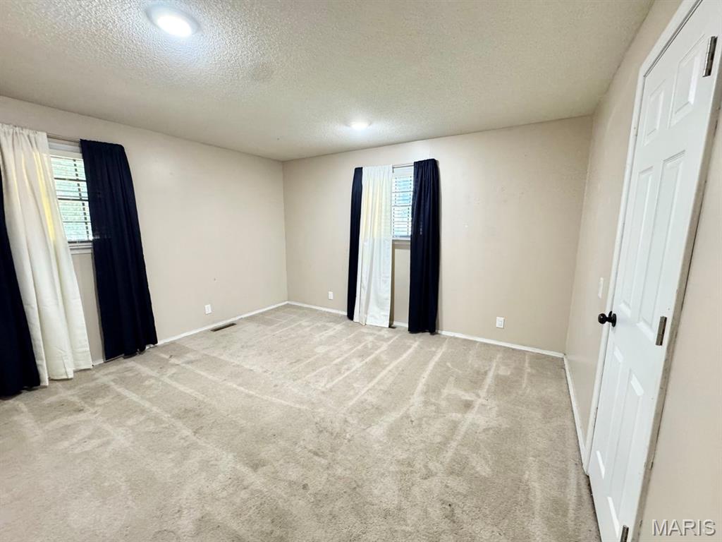 460 West Hunts Road Bernie, MO 63822 - Photo 14 of 25