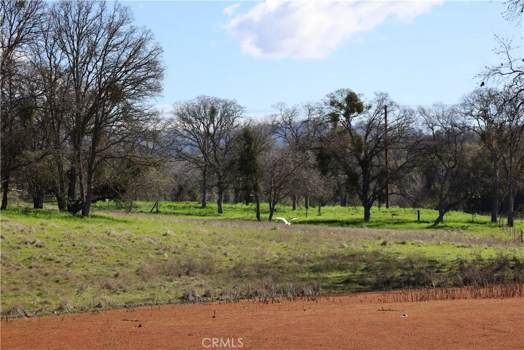 a view of a backyard with green space