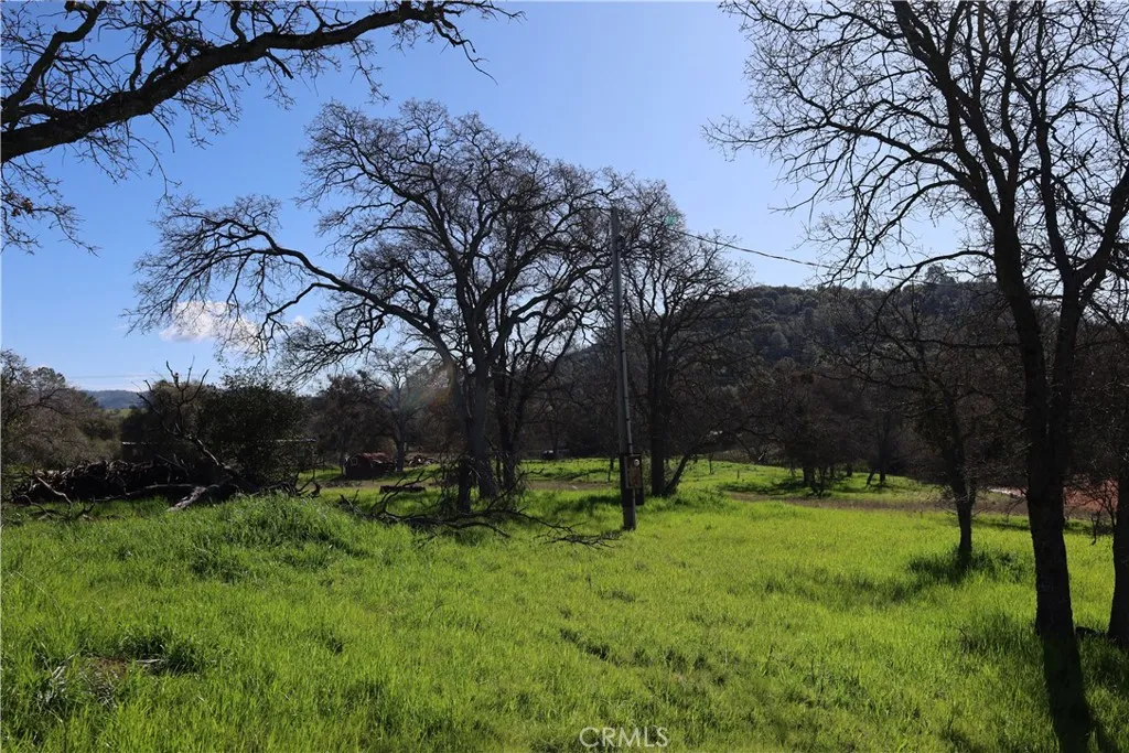 0 Douglas Road Coarsegold, CA 93614 - Photo 11 of 19