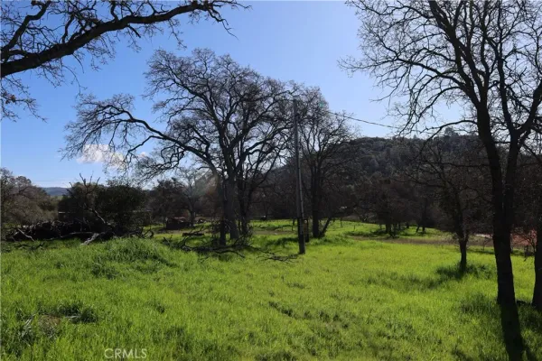 a view of green field
