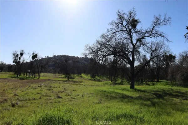 a view of outdoor space with green field and trees