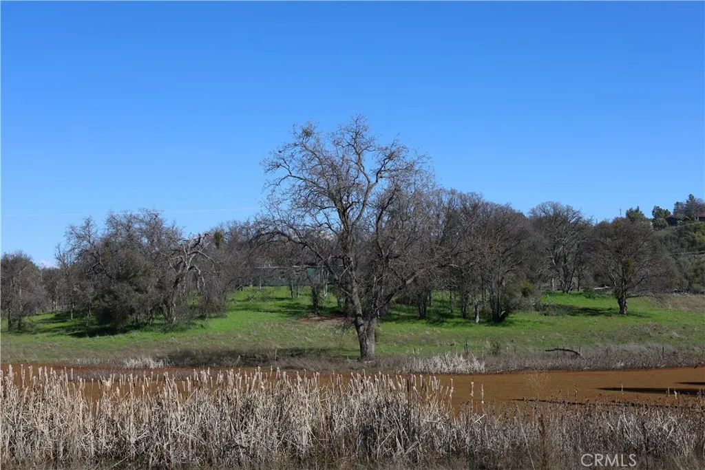 0 Douglas Road Coarsegold, CA 93614 - Photo 17 of 19