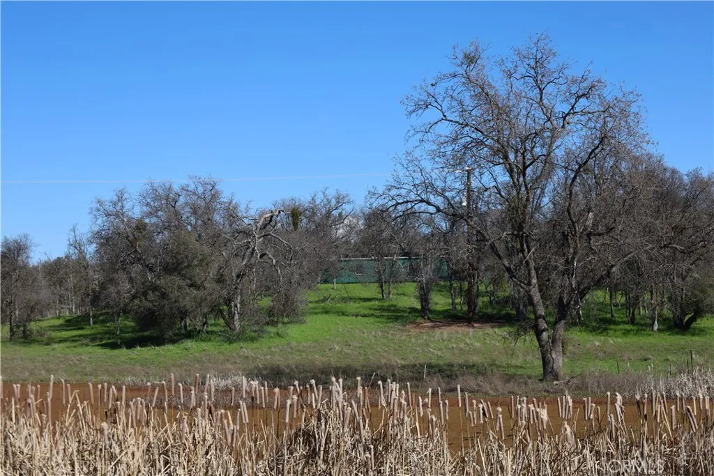 0 Douglas Road Coarsegold, CA 93614 - Photo 18 of 19