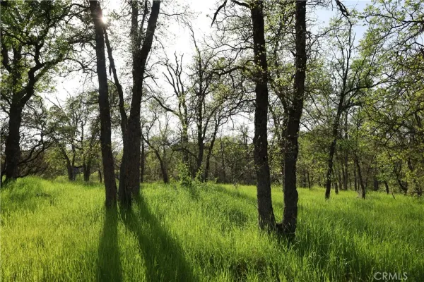 a view of outdoor space and a yard