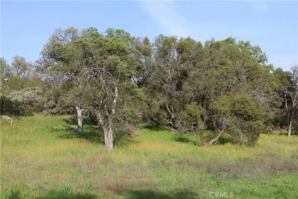 a view of a lake with a yard