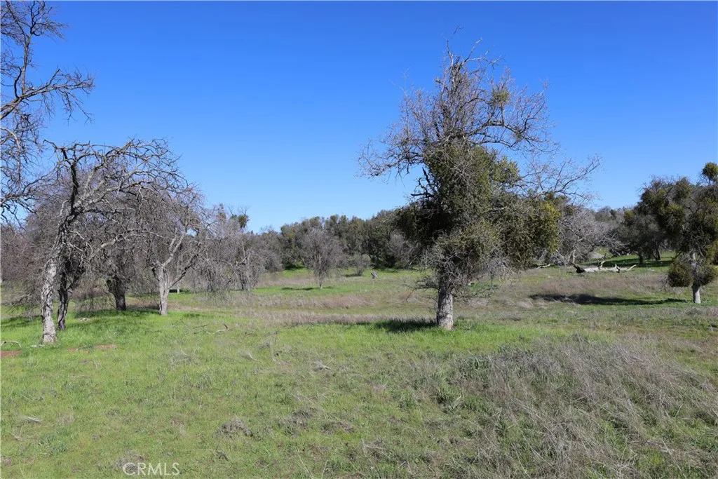 0 Douglas Road Coarsegold, CA 93614 - Photo 5 of 19