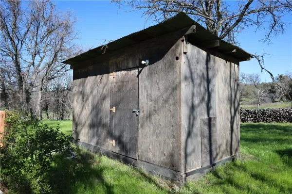 a view of a small garden