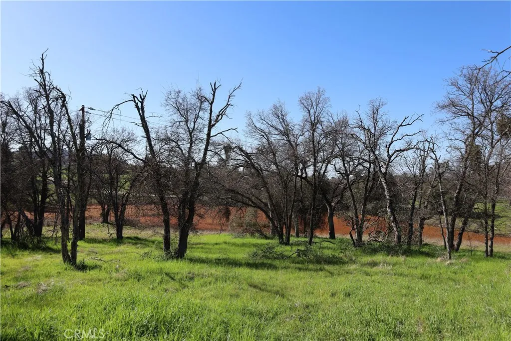 0 Douglas Road Coarsegold, CA 93614 - Photo 10 of 19