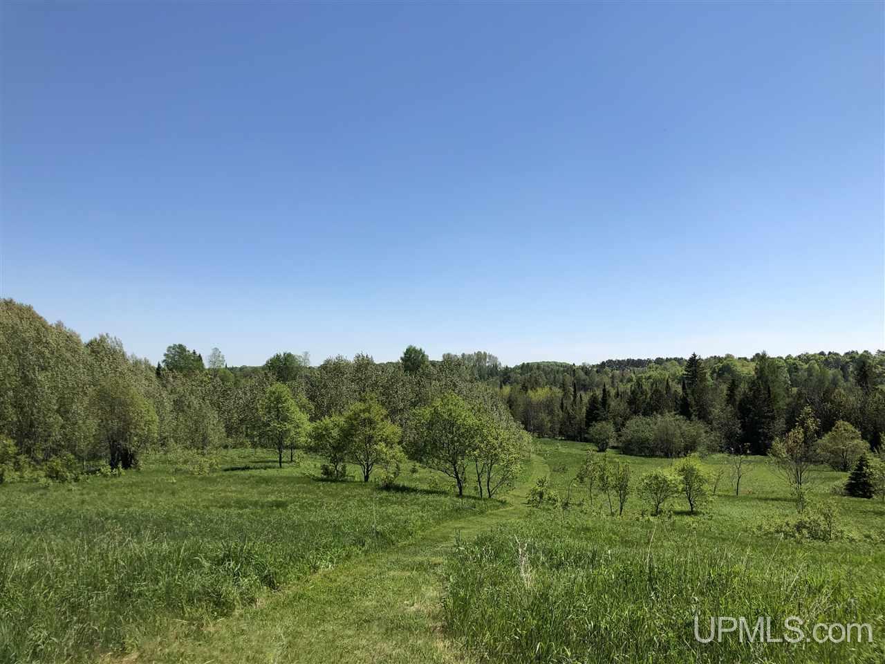 E3815 Nykanen Road Chatham, MI 49816 - Photo 35 of 46 Gallery Image 35