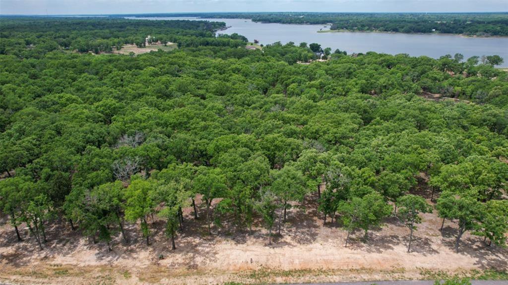 6995 Lakeshore Way Eustace, TX 75124 - Photo 11 of 14 an aerial view of a house with a yard and lake view