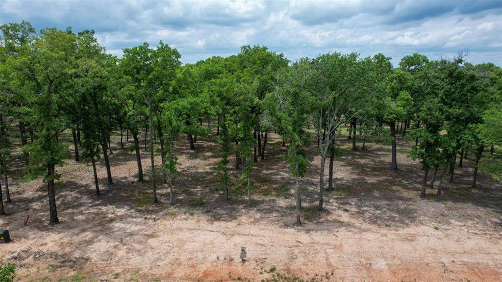 6995 Lakeshore Way Eustace, TX 75124 - Photo 3 of 14 a view of a forest with trees in the background