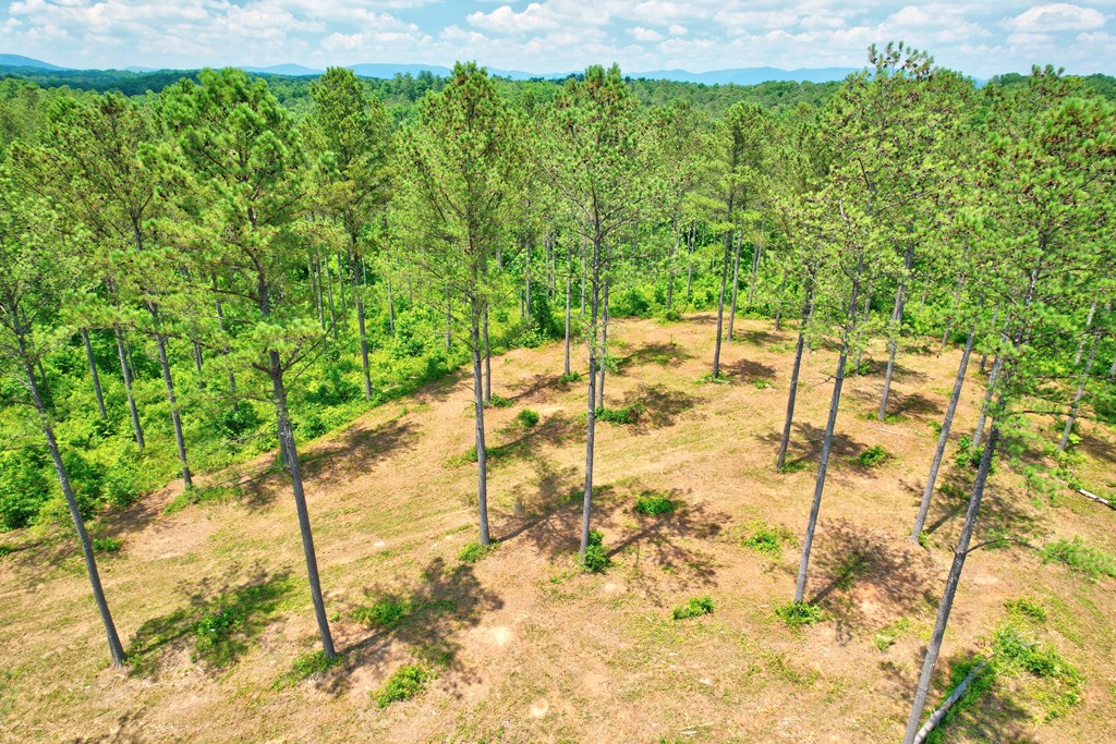 Lot 10 High River Road Ellijay, GA 30540 - Photo 25 of 31 Gallery Image 25