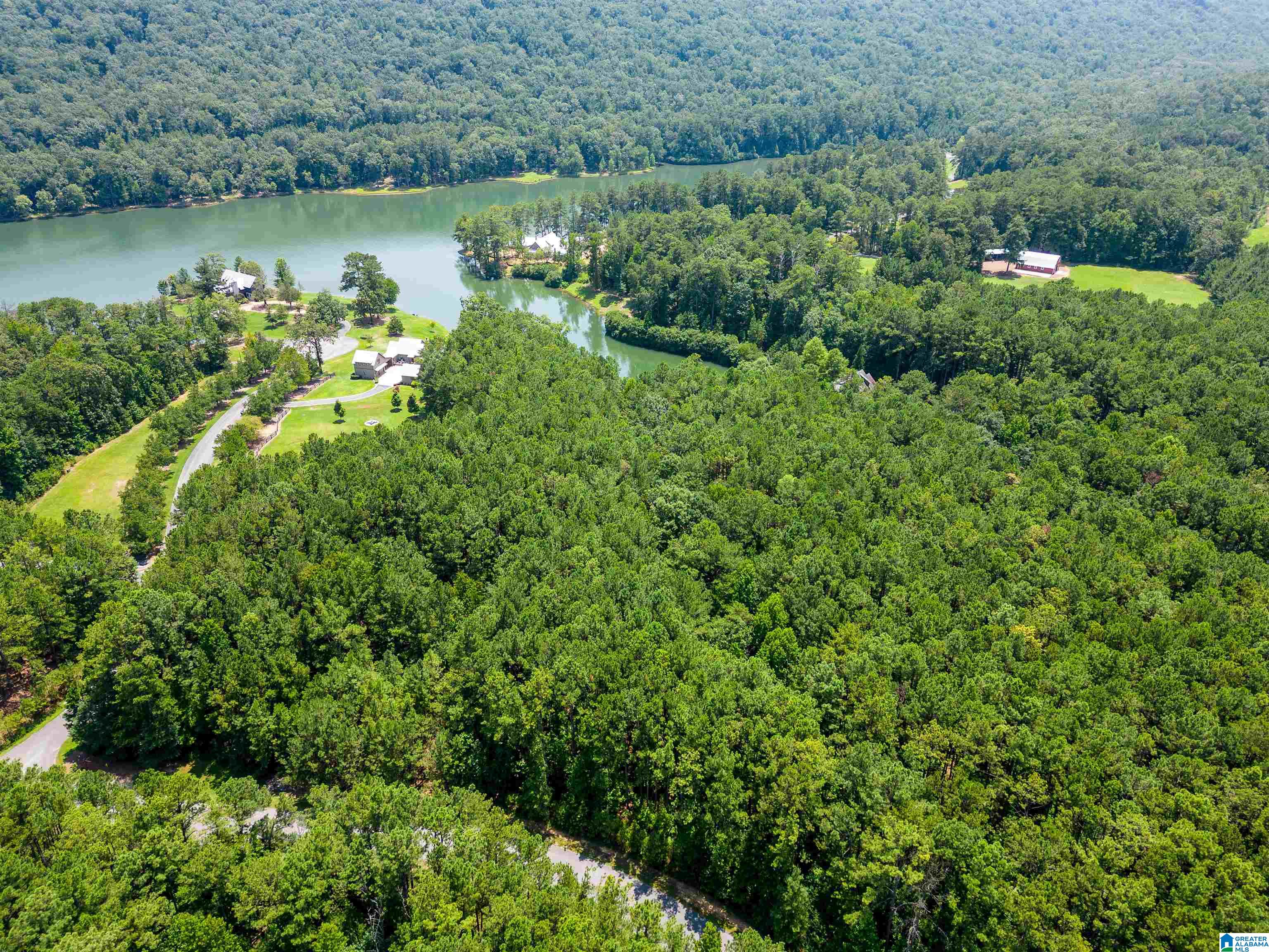 Lot 19 Saunders Bridge Road, Unit 19 Sterrett, AL 35147 - Photo 30 of 31 Gallery Image 30