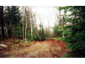 18 Bacon Road Pittsburg, NH 03592 - Photo 2 of 2 Gallery Image 2
