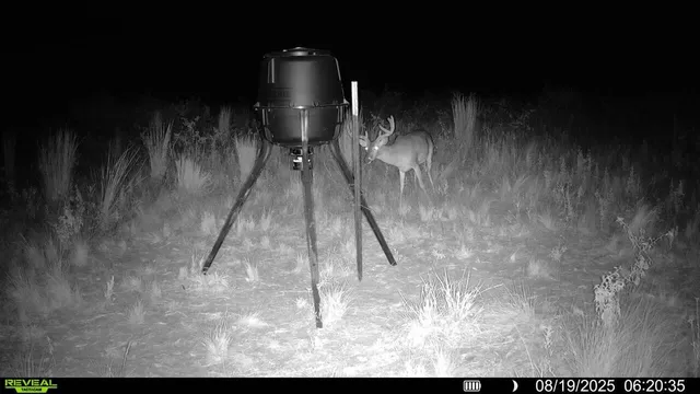 a view of wooden floor in a room