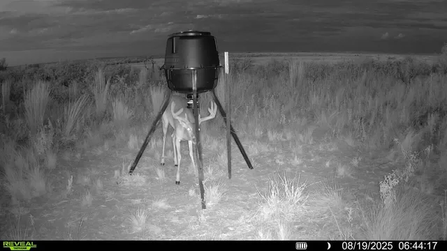 a view of a living room