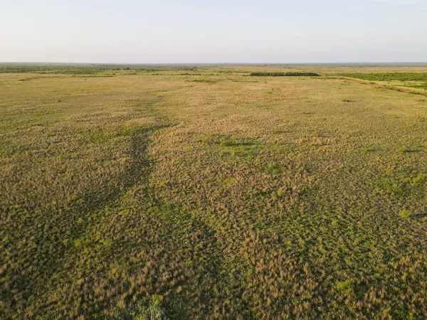 a view of a field with an ocean