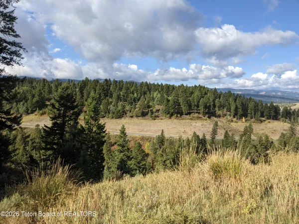 $175,000 | L50-b4 Cutthroat Run, Irwin, ID 83428