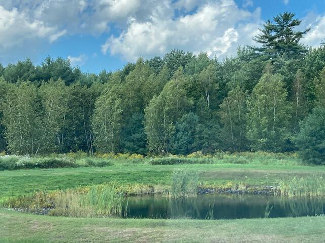 10 Hay Brook Road Alfred, ME 04002 - Photo 51 of 54 Part of pond is on the over 4 Acres