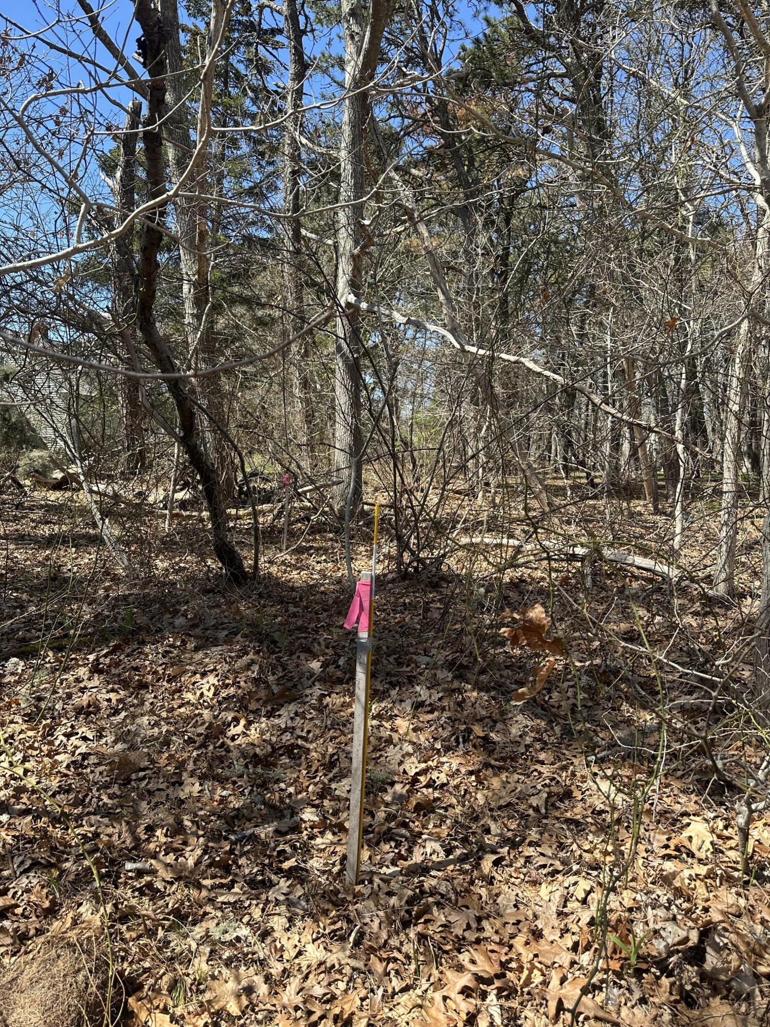 83 Telegraph Road Dennis Port, MA 02639 - Photo 1 of 4 20260424_153226989_iOS