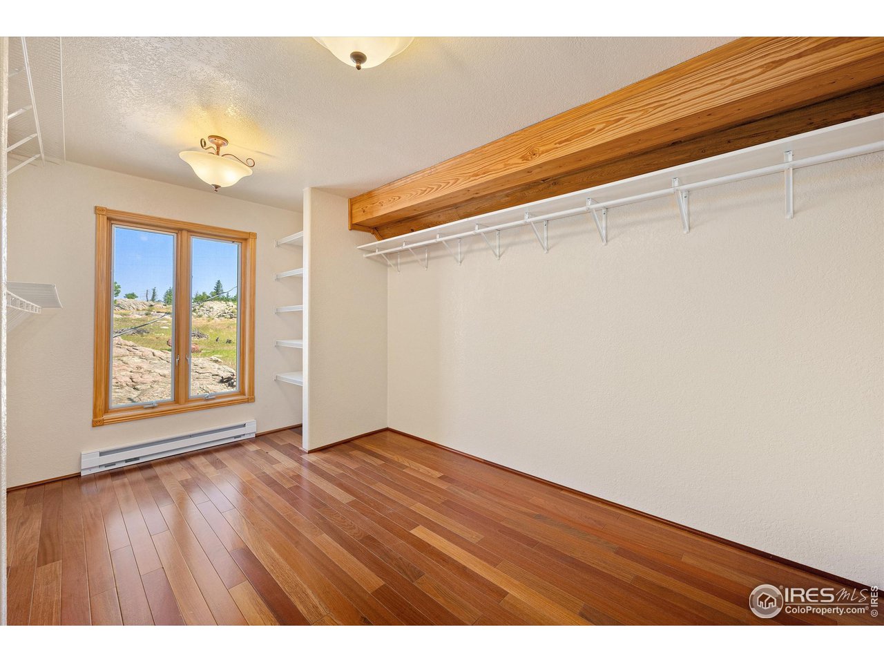 3805 Davis Ranch Road Bellvue, CO 80512 - Photo 28 of 39 Primary Closet