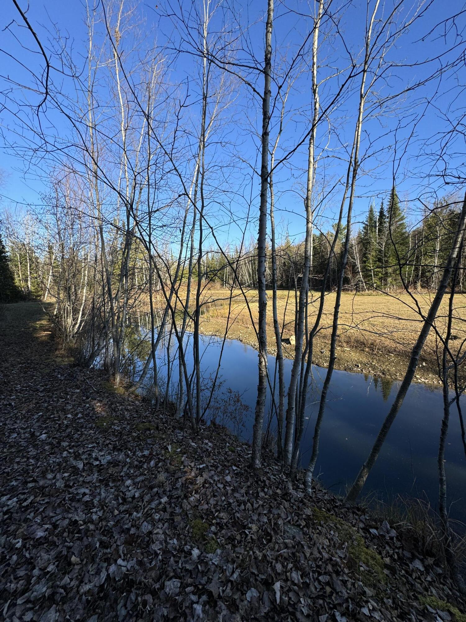 825 Mt Pleasant Road Stetson, ME 04488 - Photo 46 of 56 Pond
