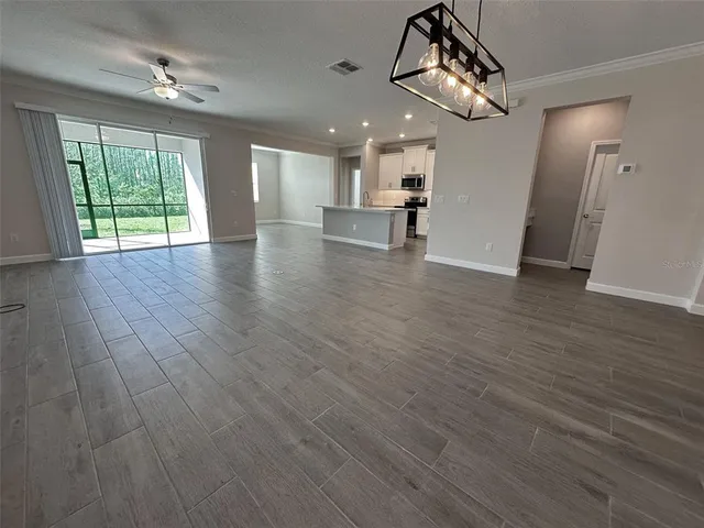 a view of a park with palm trees