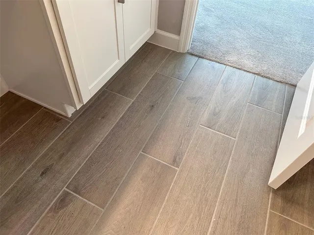 $2,300 | 17216 Mango Shay Court, Land O Lakes, FL 34638