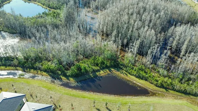 $2,300 | 17216 Mango Shay Court, Land O Lakes, FL 34638