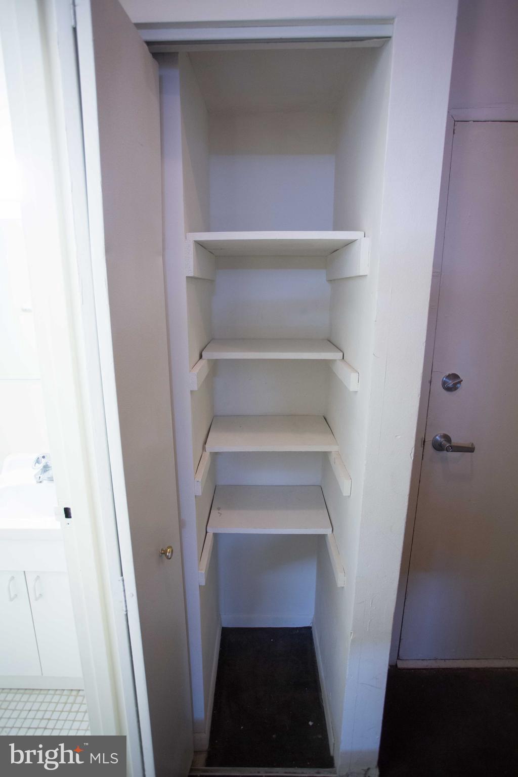 2031-8 South Street, Unit 123 Philadelphia, PA 19146 - Photo 31 of 31 a view of walk in closet