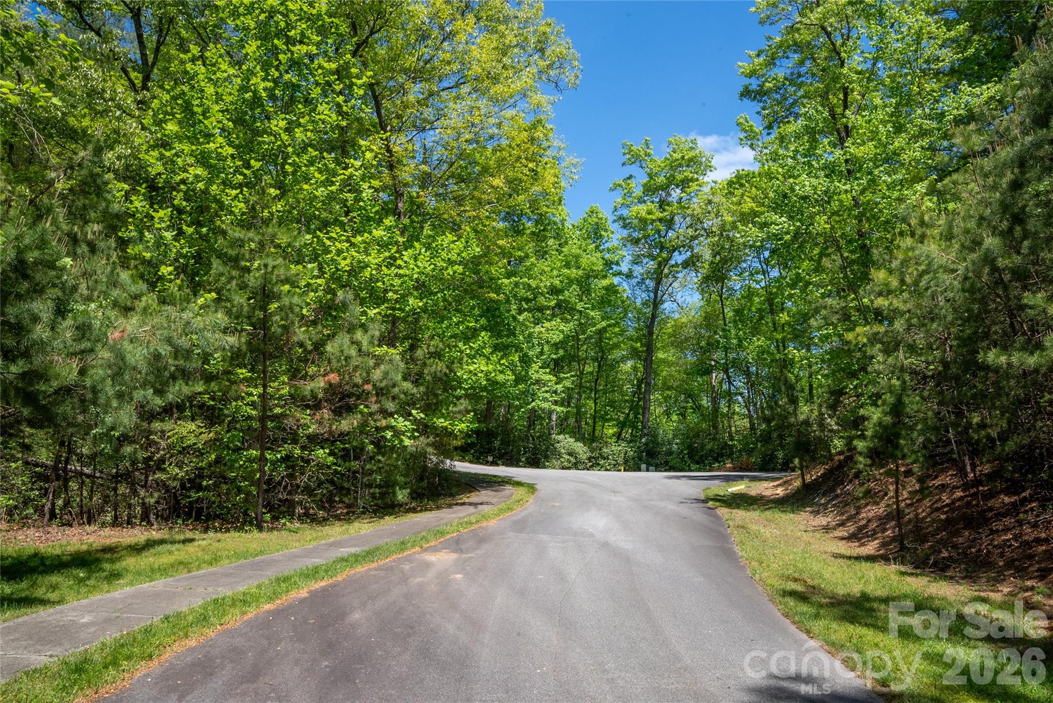 Tbd Springhouse Trail, Unit L15 Brevard, NC 28712 - Photo 7 of 21