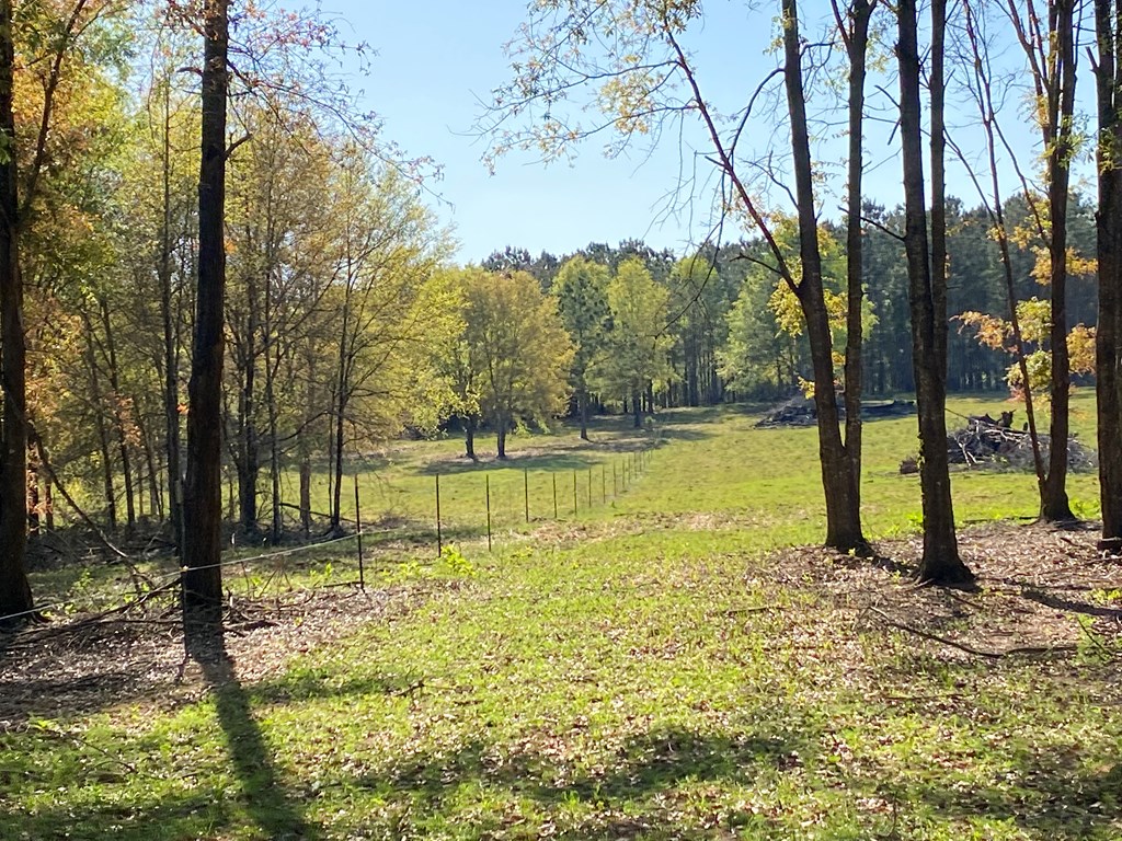0 Co Road Abbeville, AL 36310 - Photo 23 of 53