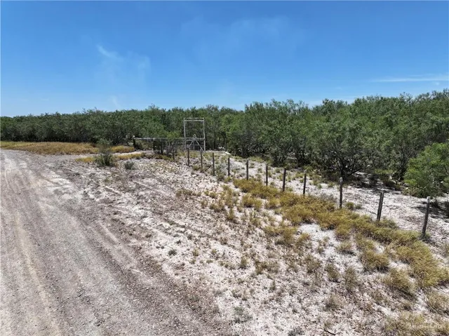 a view of a yard with a tree