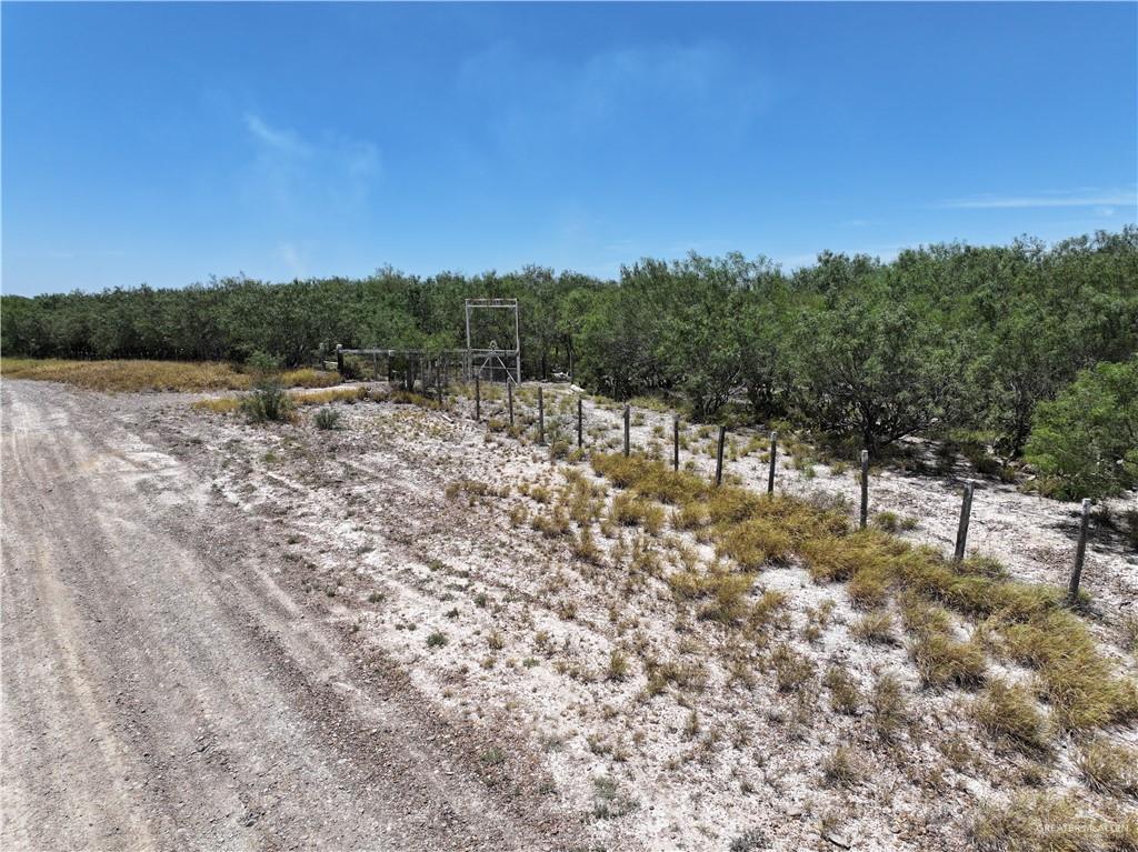 0 Guadalupe Road Sullivan City, TX 78595 - Photo 2 of 2 a view of a yard with a tree