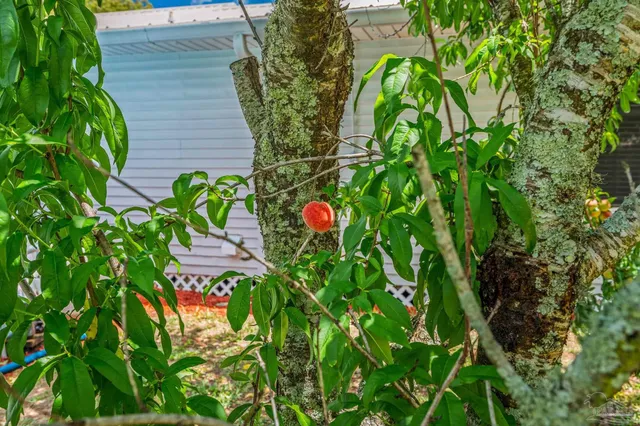 a view of an ocean view