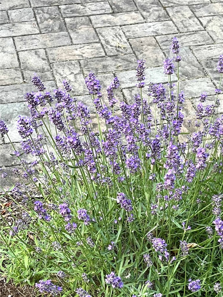 127 Maple Avenue Victor, NY 14564 - Photo 44 of 47