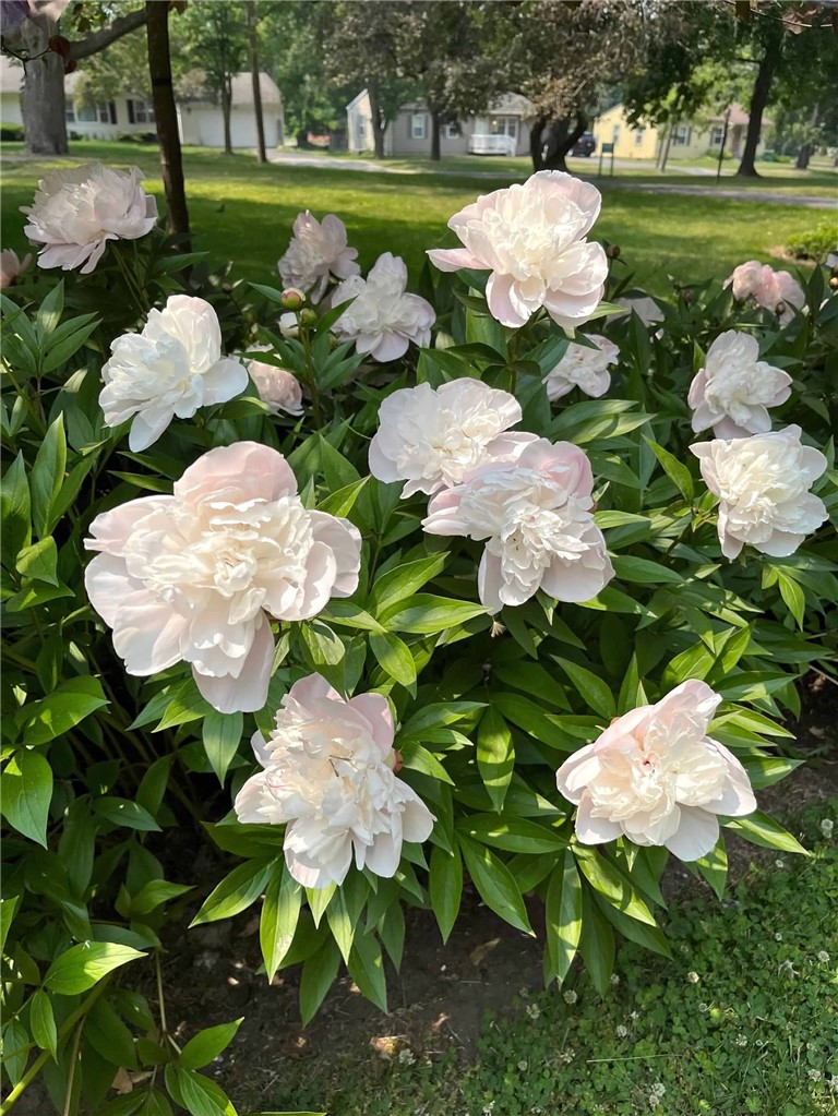 127 Maple Avenue Victor, NY 14564 - Photo 45 of 47