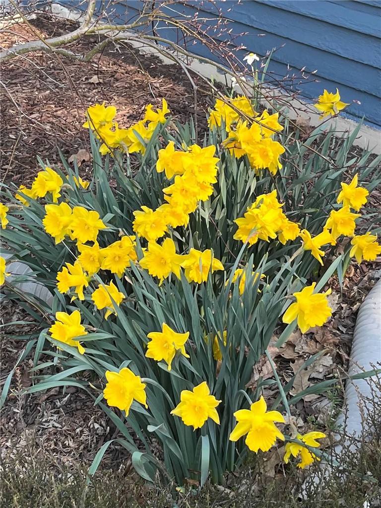 127 Maple Avenue Victor, NY 14564 - Photo 46 of 47