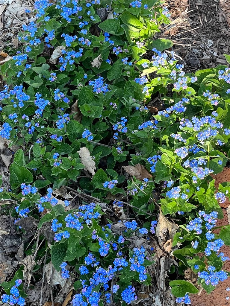 127 Maple Avenue Victor, NY 14564 - Photo 47 of 47