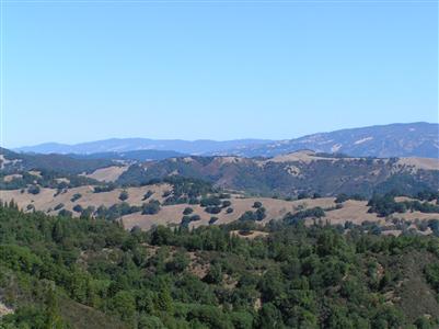 6390 Skaggs Springs Road Geyserville, CA 95441 - Photo 2 of 12 Gallery Image 2