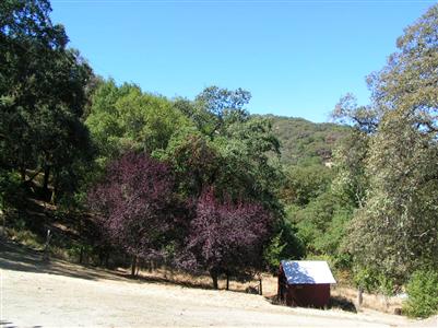 6390 Skaggs Springs Road Geyserville, CA 95441 - Photo 3 of 12 Gallery Image 3