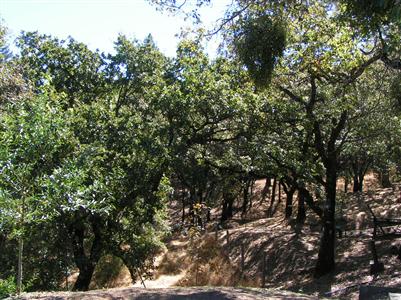 6390 Skaggs Springs Road Geyserville, CA 95441 - Photo 5 of 12 Gallery Image 5