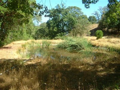 6390 Skaggs Springs Road Geyserville, CA 95441 - Photo 7 of 12 Gallery Image 7