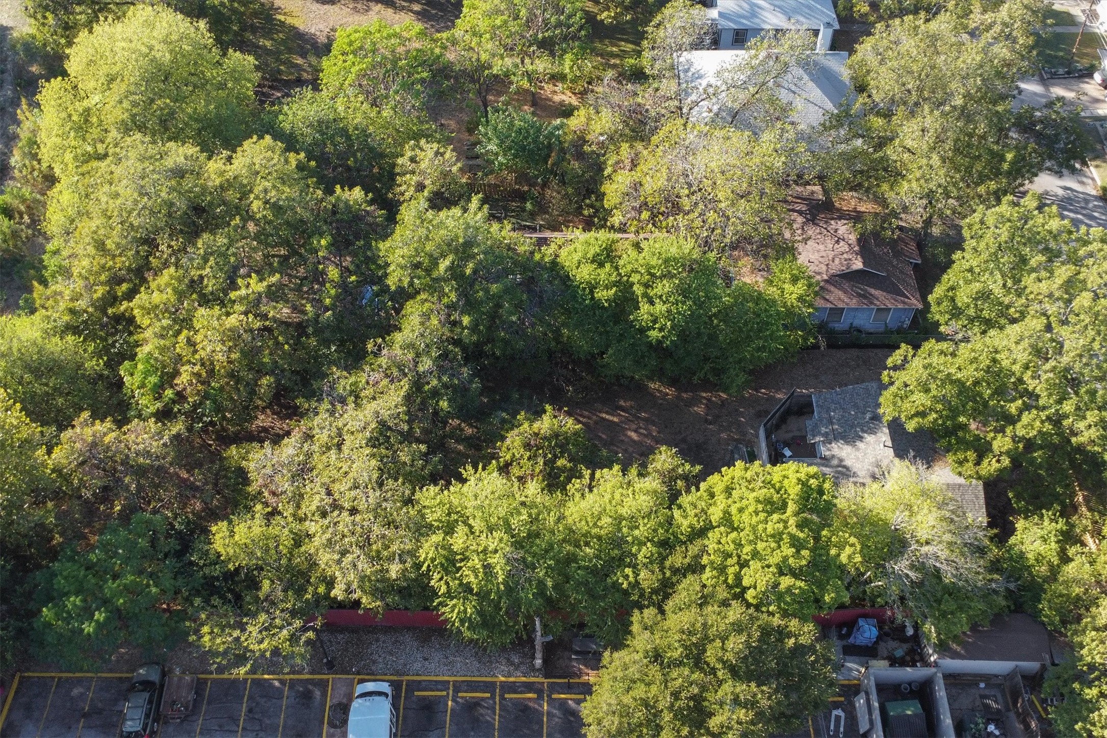 935 East 56th Street, Unit 2 & 3 Austin, TX 78751 - Photo 20 of 22