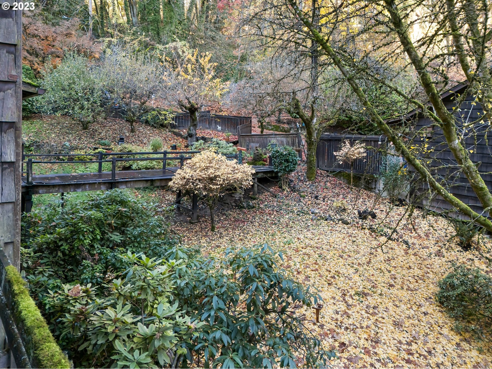 3852 Southwest Condor Avenue Portland, OR 97239 - Photo 2 of 44 a backyard of a house with lots of green space