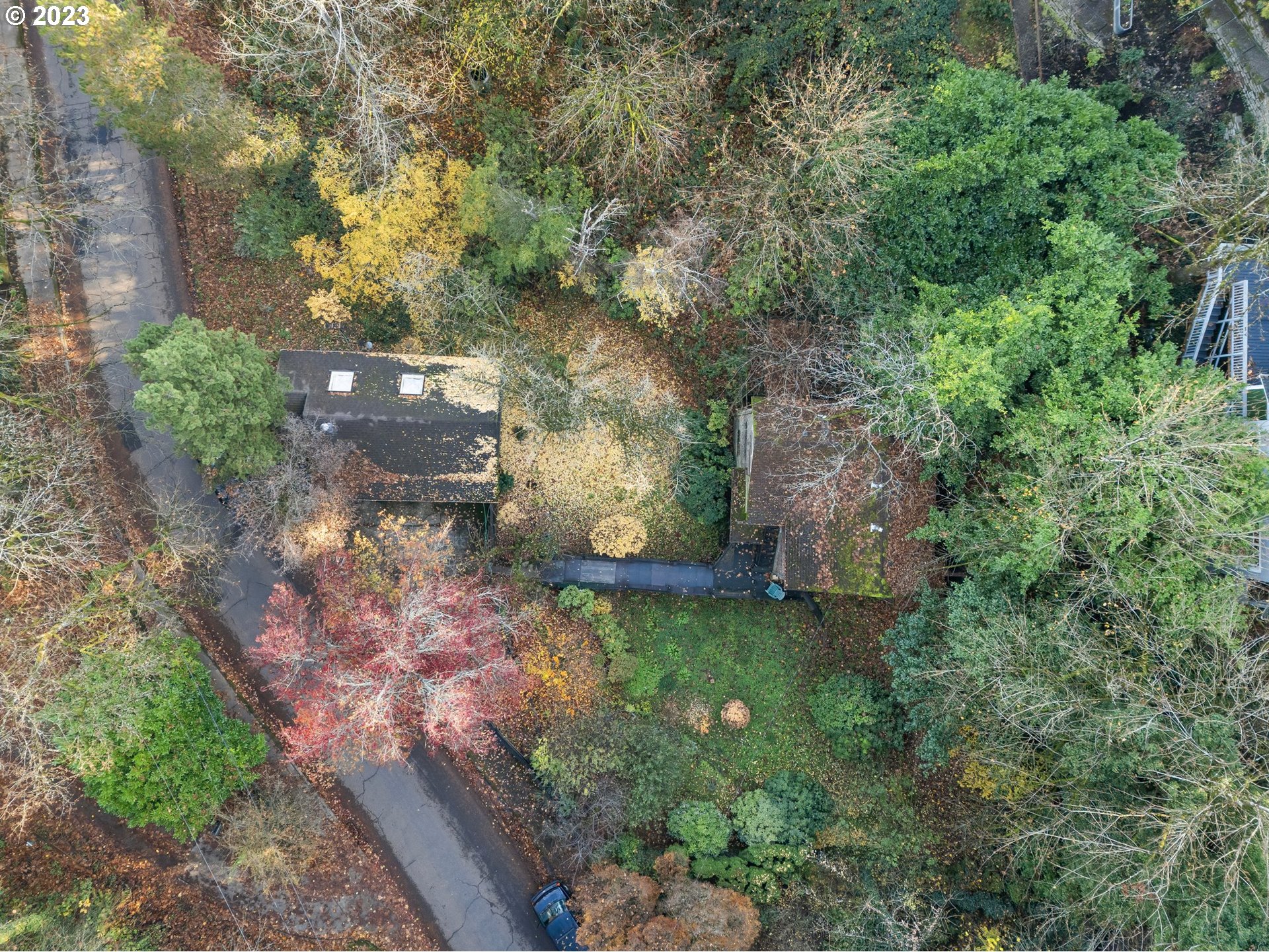 3852 Southwest Condor Avenue Portland, OR 97239 - Photo 6 of 44 a view of a yard with large trees