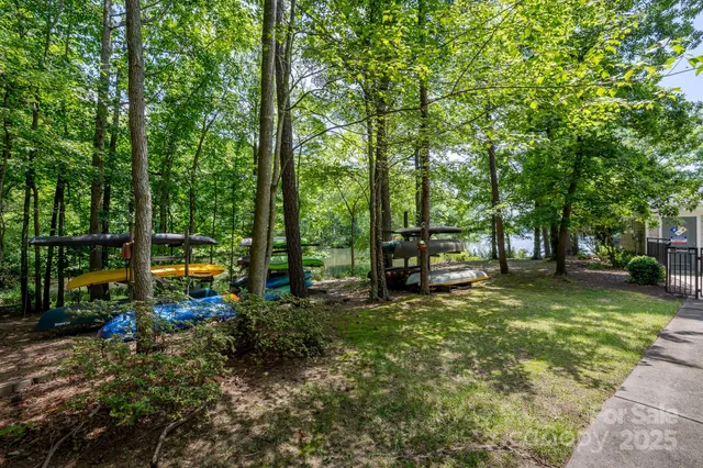 a view of a park with large trees