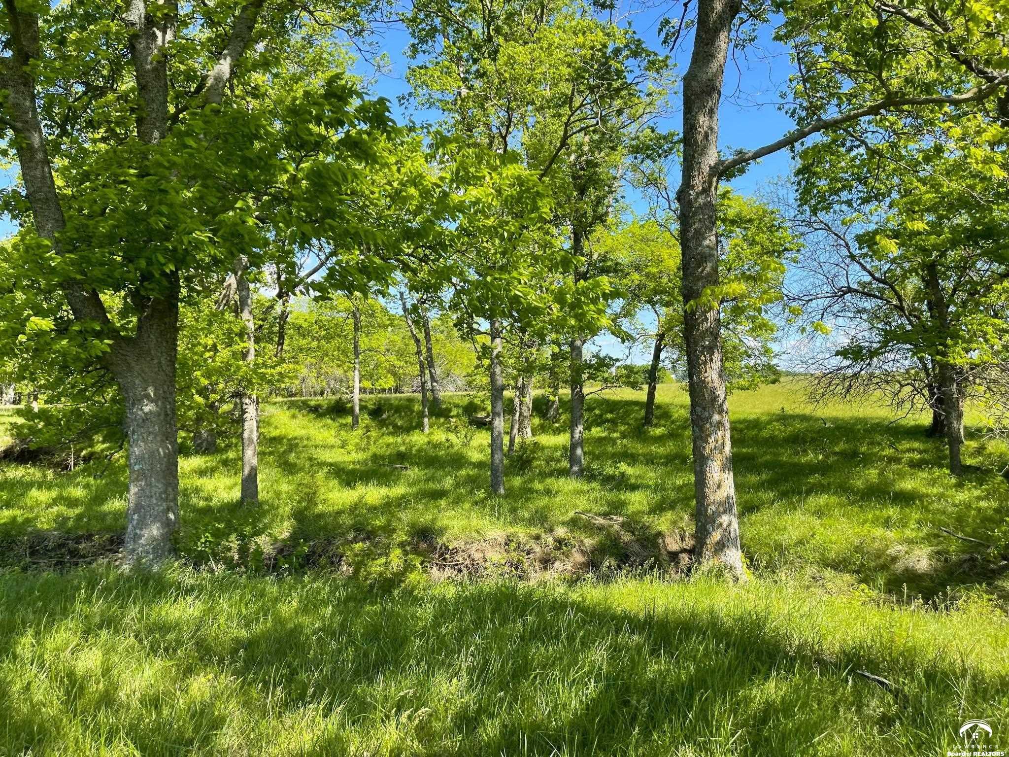 905 North 100th Road Baldwin City, KS 66006 - Photo 11 of 23